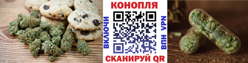 купить наркоту  кракен ссылки  Печенье с ТГК марихуана  Новошахтинск 