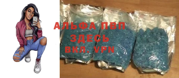 ECSTASY Алзамай