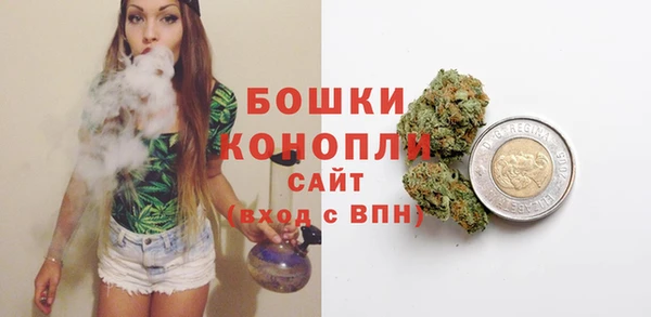 молекула духа Арсеньев