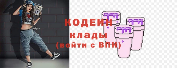 ECSTASY Алзамай