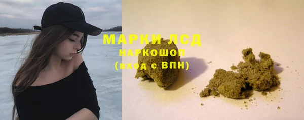молекула духа Арсеньев