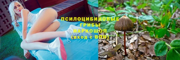 ECSTASY Алзамай