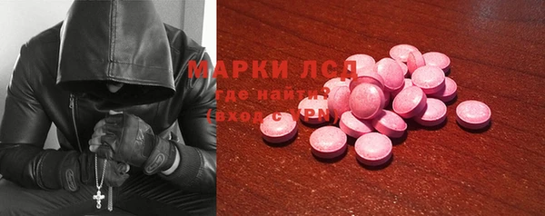 прущие грибы Алексеевка