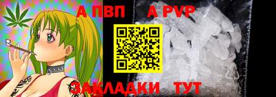 дурь Пугачёв